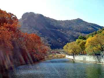 澳门天天免费精准大全，黄山毛峰1875